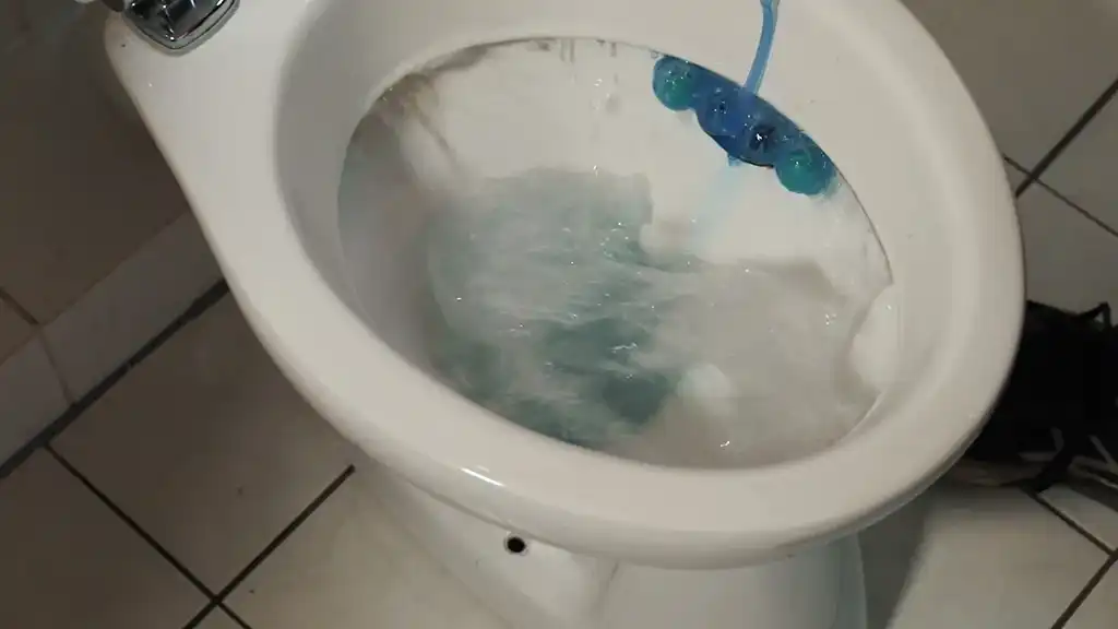 Verstopfter Toilettenabfluss Verstopfter Toilettenabfluss